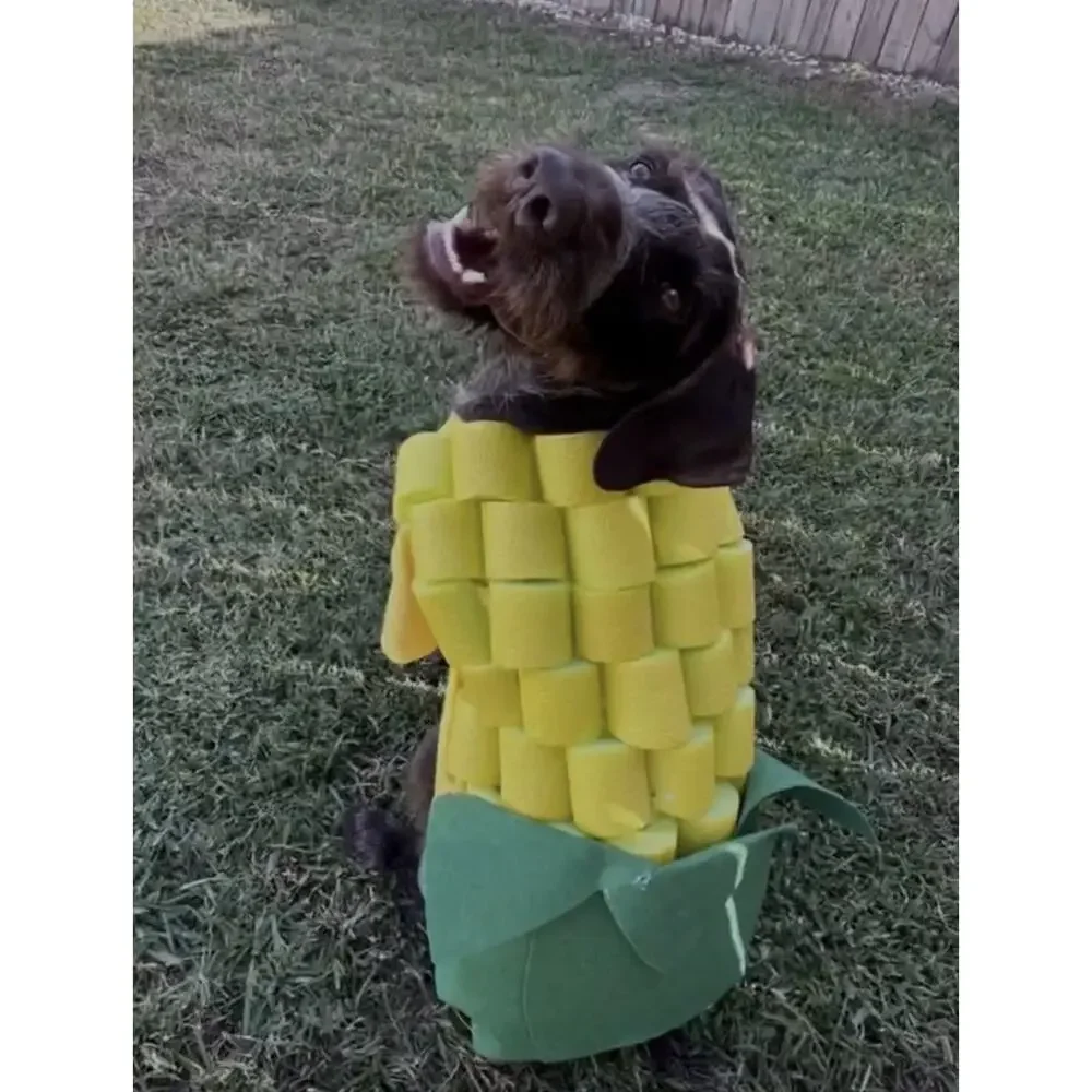 Handmade Corn Costume Dog Halloween Corn Dog costume Medium Size Dog 40-50 Lbs